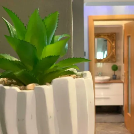 Penthouse Complex 5 * Бухарест